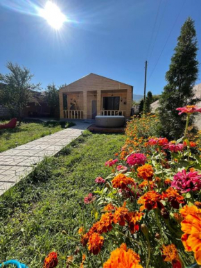 Eco House